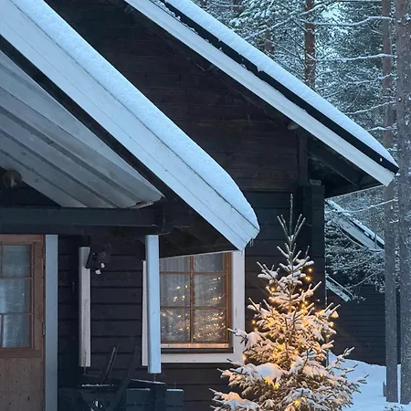 Pyhäberry Apartment *